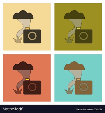 Assembly flat icons tornado camera vector image