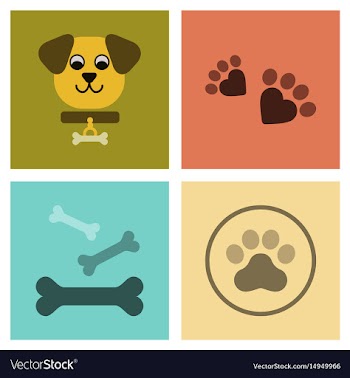 Assembly flat icons traces of dog bones vector image