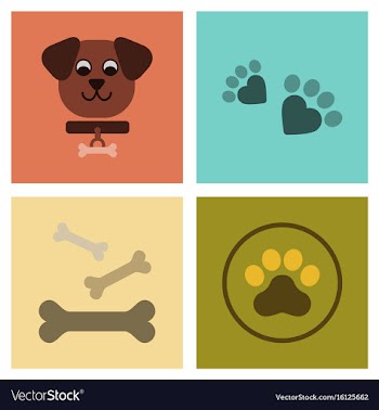 Assembly flat icons traces of dog bones vector image