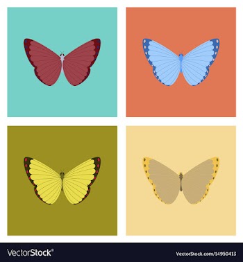 Assembly flat insect butterfly vector image