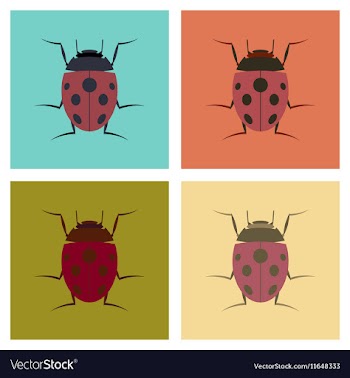 Assembly flat insect ladybug vector image