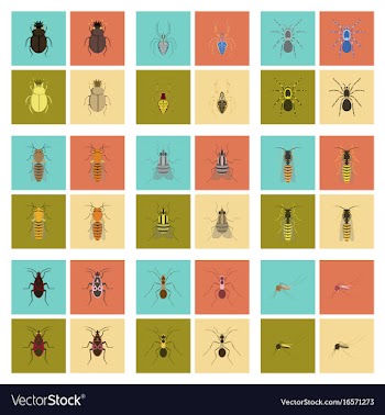 Assembly flat insect wasp soldier bug ant vector image