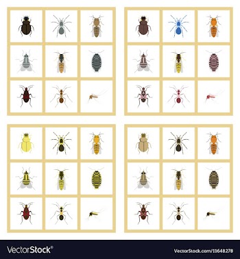 Assembly flat insect wasp soldier vector image