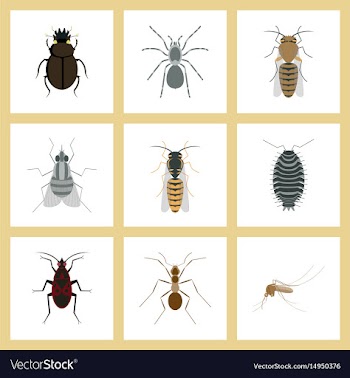 Assembly flat insect wasp soldier vector image