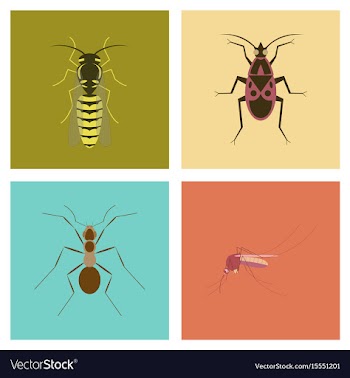 Assembly flat insect wasp soldier vector image