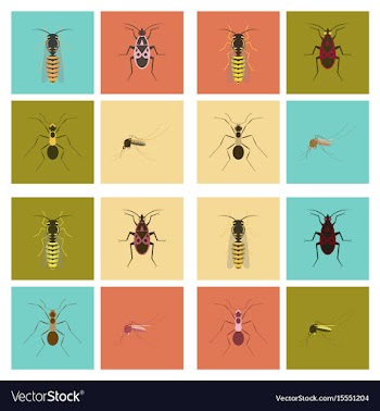 Assembly flat insect wasp soldier vector image