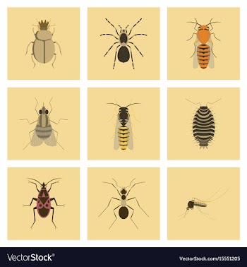 Assembly flat insect wasp soldier vector image