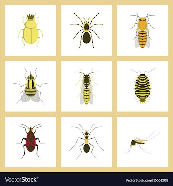 Assembly flat insect wasp soldier vector image