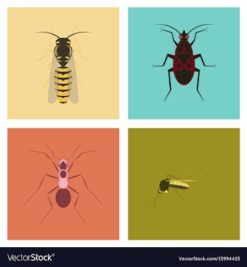 Assembly flat insect wasp soldier vector image