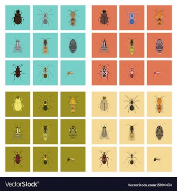 Assembly flat insect wasp soldier vector image