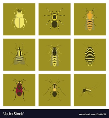 Assembly flat insect wasp soldier vector image