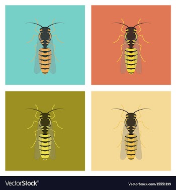 Assembly flat insect wasp vector image