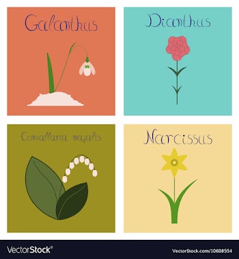 Assembly flat nature Convallaria vector image