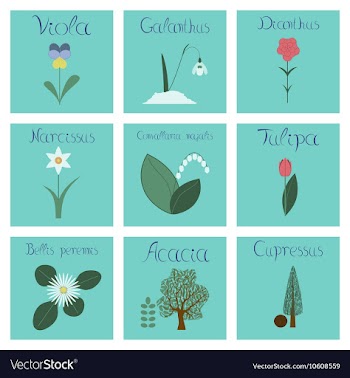 Assembly flat nature Convallaria vector image