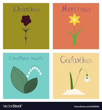 Assembly flat nature convallaria vector image