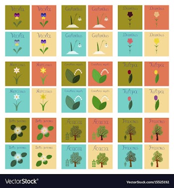 Assembly flat nature convallaria vector image