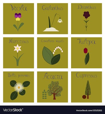 Assembly flat nature convallaria vector image