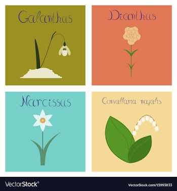 Assembly flat nature convallaria vector image