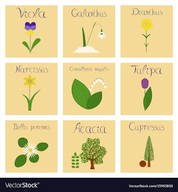 Assembly flat nature convallaria vector image