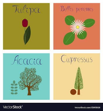 Assembly flat nature cupressus vector image