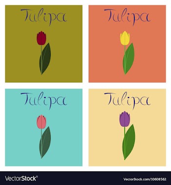 Assembly flat nature plant Tulipa vector image