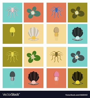 Assembly flat octopus jellyfish vector image