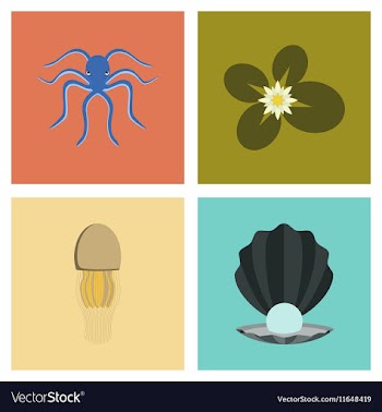 Assembly flat octopus jellyfish vector image
