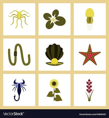 Assembly flat octopus jellyfish vector image