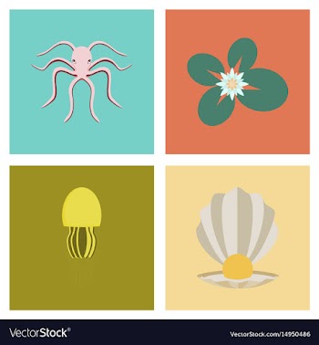 Assembly flat octopus jellyfish vector image