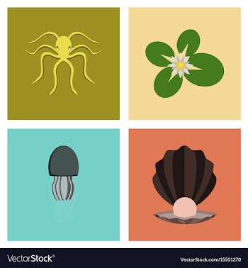 Assembly flat octopus jellyfish vector image