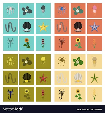 Assembly flat octopus jellyfish vector image
