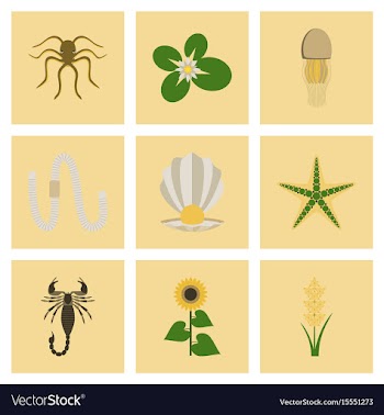 Assembly flat octopus jellyfish vector image