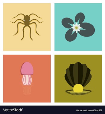 Assembly flat octopus jellyfish vector image