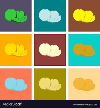 Assembly flat orange slice vector image