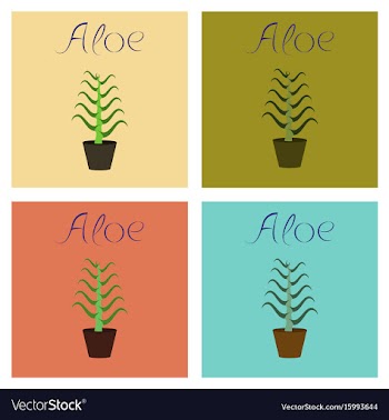 Assembly flat plant aloe vector image