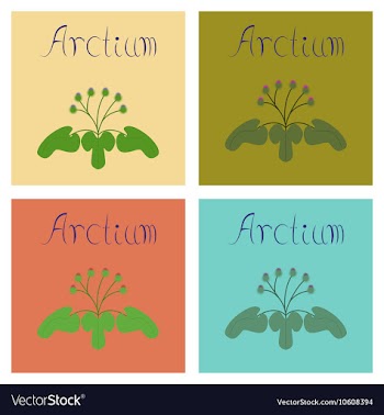 Assembly flat plant Arctium vector image