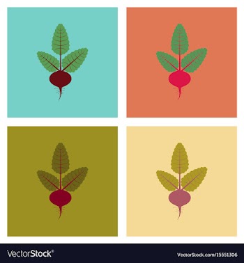 Assembly flat plant beta vector image