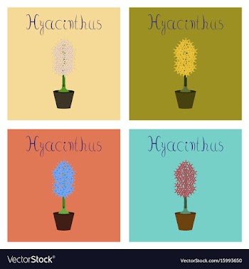Assembly flat plant hyacinthus vector image
