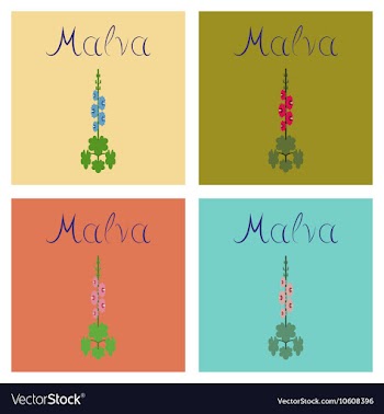 Assembly flat plant Malva vector image