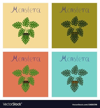 Assembly flat plant Monstera vector image