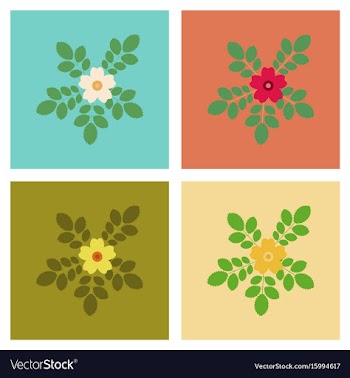 Assembly flat rosa majalis vector image