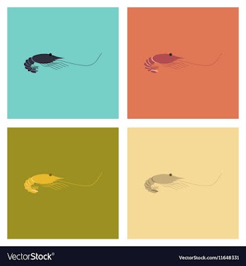 Assembly flat sea shrimp vector image