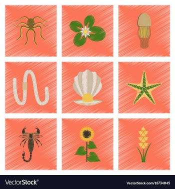Assembly flat shading style animal octopus vector image