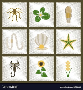 Assembly flat shading style animal octopus vector image