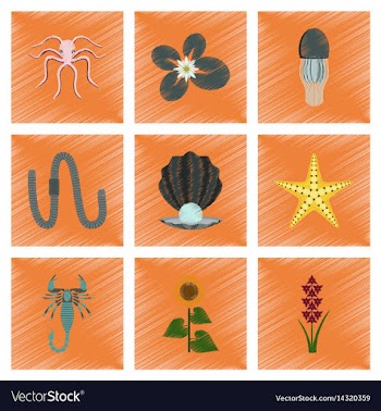 Assembly flat shading style animal vector image