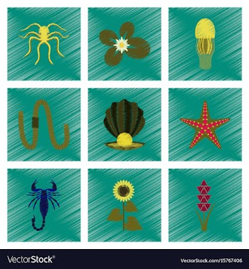 Assembly flat shading style animal vector image