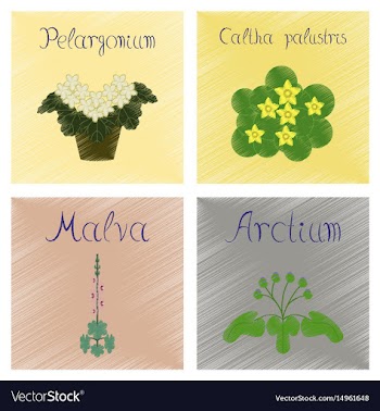 Assembly flat shading style arctium vector image