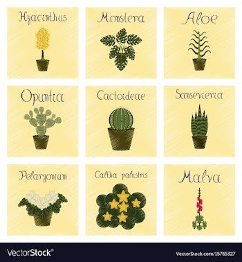 Assembly flat shading style arctium vector image