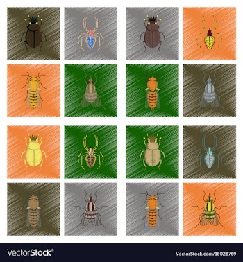 Assembly flat shading style bug scarab araneus vector image