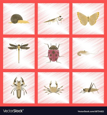 Assembly flat shading style bug snail butterfly vector image